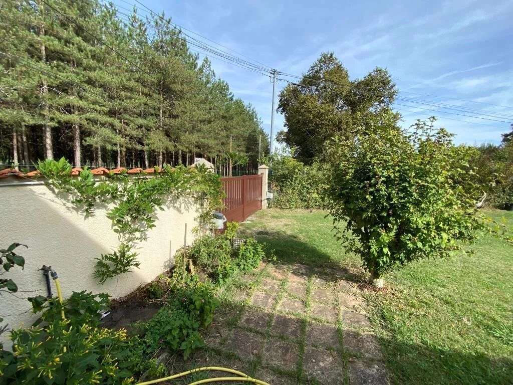 St christoly maison avec appartement sur + d'un hectare - photo 10