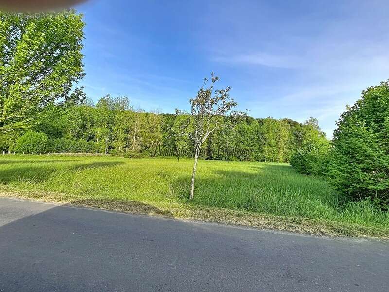 À vendre – Terrain constructible à Courdemanche (72150) – 3 175 m² en pleine nature, à 650 m des commodités - photo 3