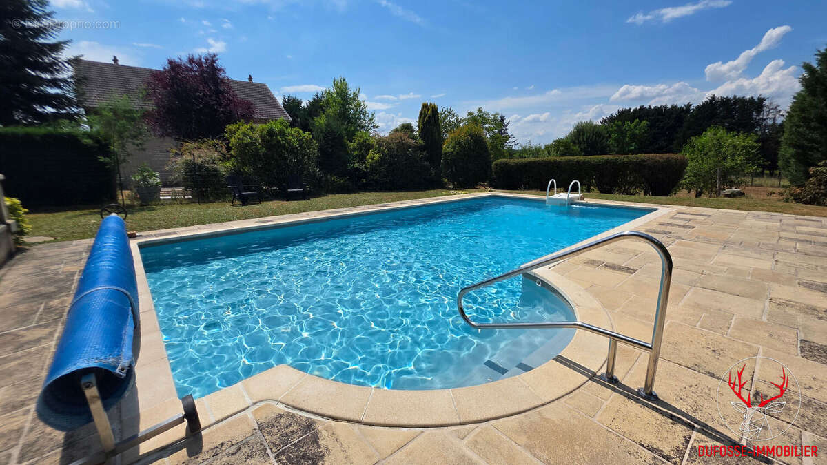 Maison rénovée - 230 m²  - piscine - 7300m² de terrain - Sornay - photo 9
