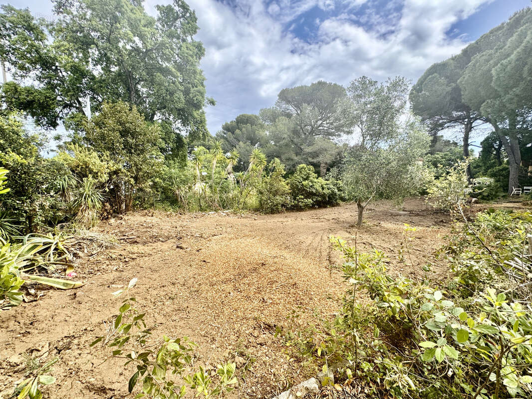 Terrain à FREJUS