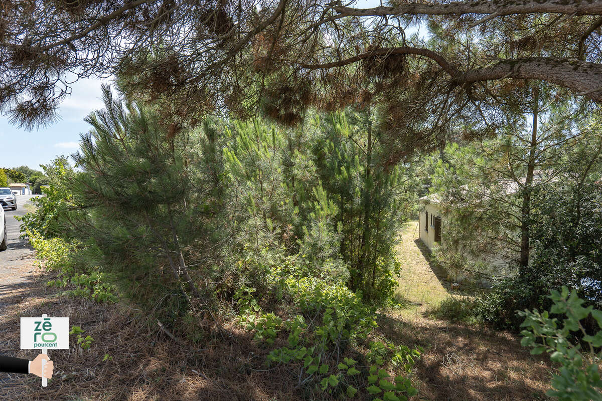Terrain à LA TRANCHE-SUR-MER