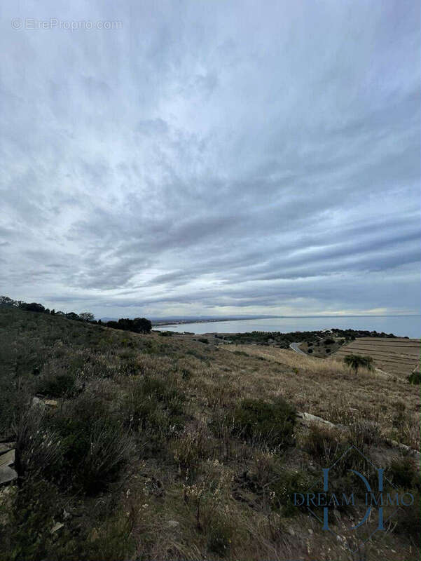 Terrain à COLLIOURE
