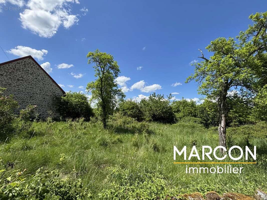 Maison à PEYRAT-LA-NONIERE