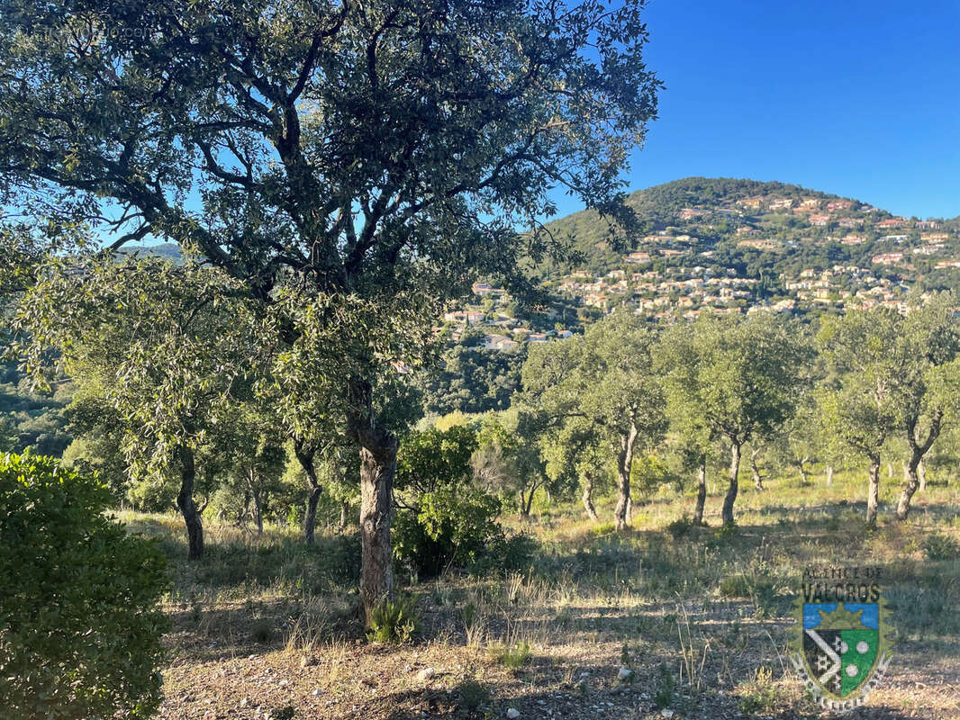 Parcelles de terrain a batir viabilisee - domaine de valcros - la londe les maures - photo 3
