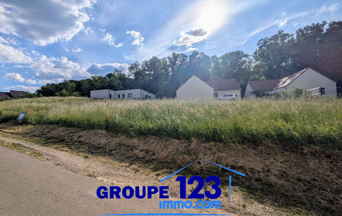Terrain à APPOIGNY