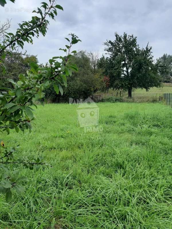 Terrain à VANDIERES