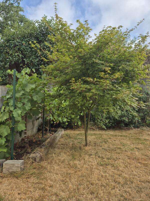 Maison 4 chambres dont 1 au RDC garage et jardin clos - photo 2