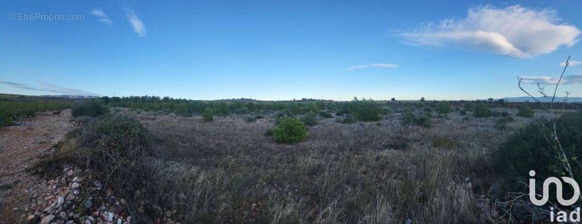 Photo 1 - Terrain à SALSES-LE-CHATEAU