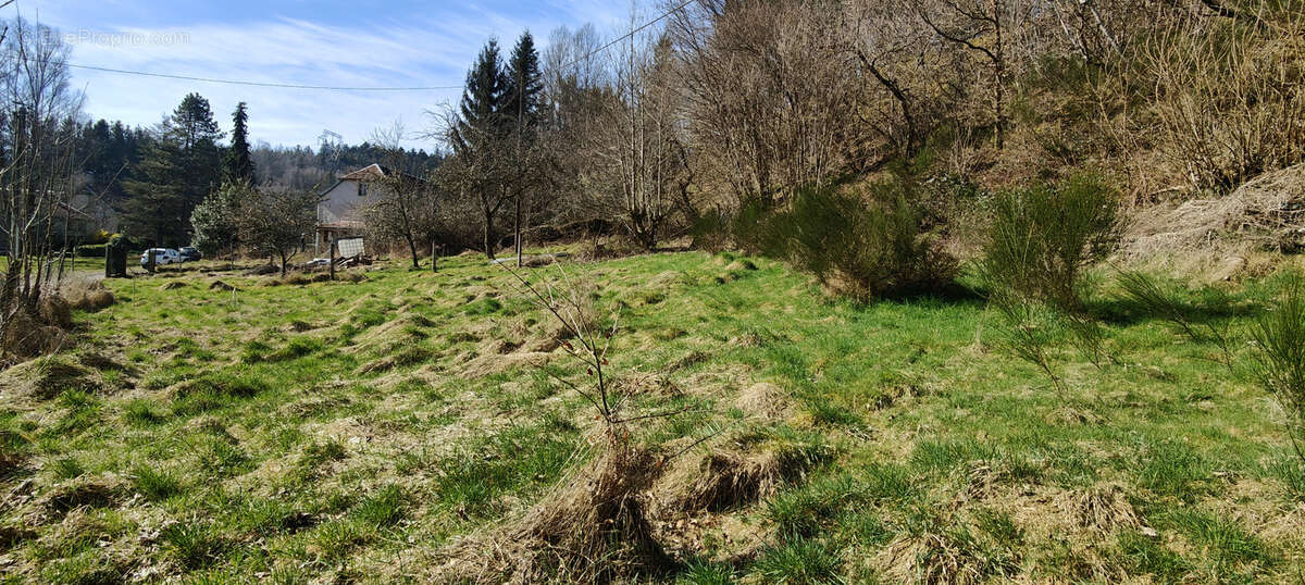 Champenay, commune de Plaine, terrain de 4.96 ares, au calme et aux abords de la forêt. - photo 5