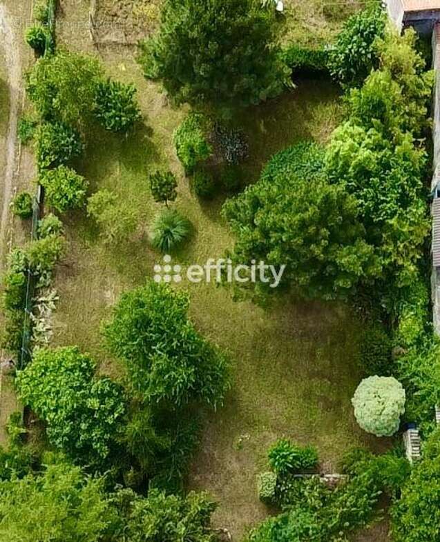 Maison à DOLUS-D'OLERON