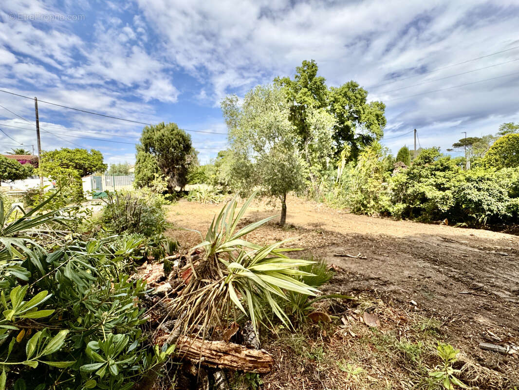 Terrain à FREJUS