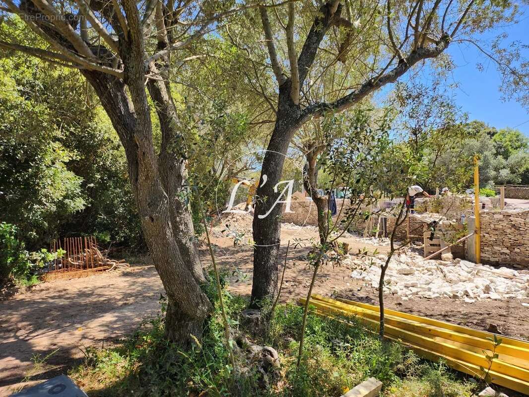 Terrain à BONIFACIO