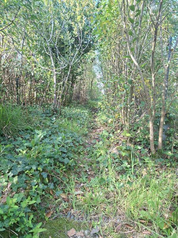 Photo 9 - Maison à CASTILLON-LA-BATAILLE