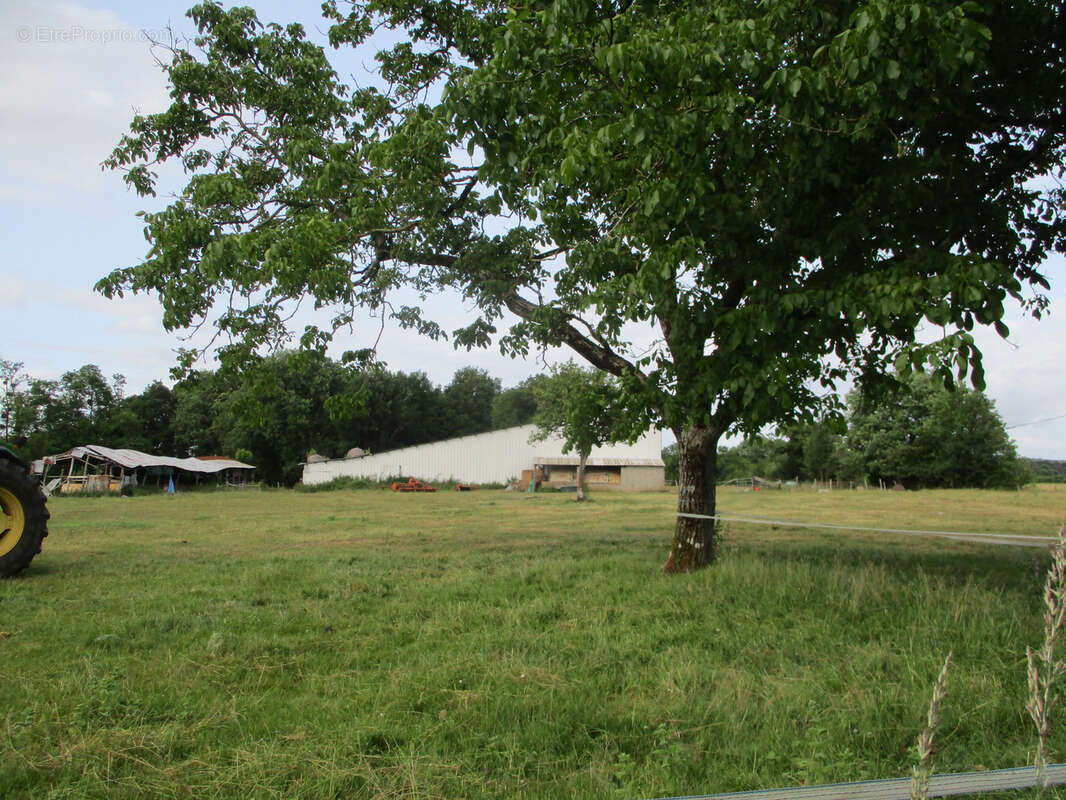 Maison à CEAUX-EN-COUHE
