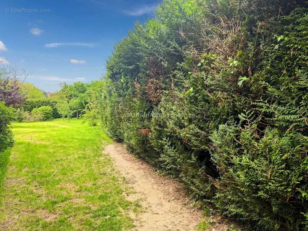 Terrain à MONTEVRAIN