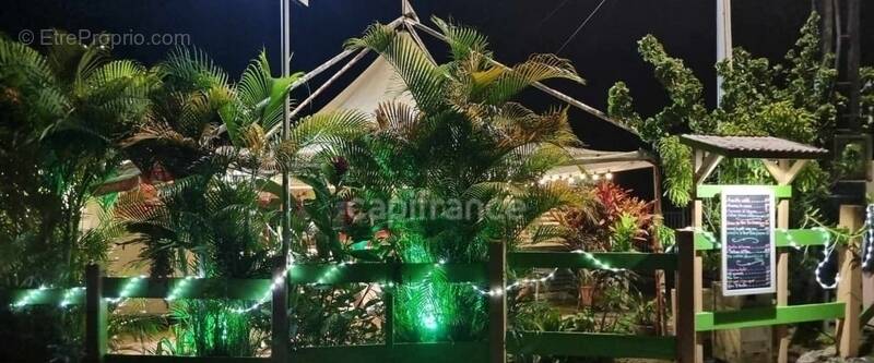 Commerce à SAINTE-LUCE