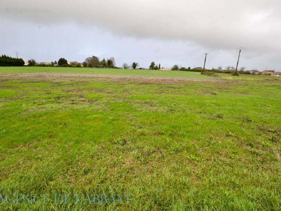 Terrain à BERNEUIL