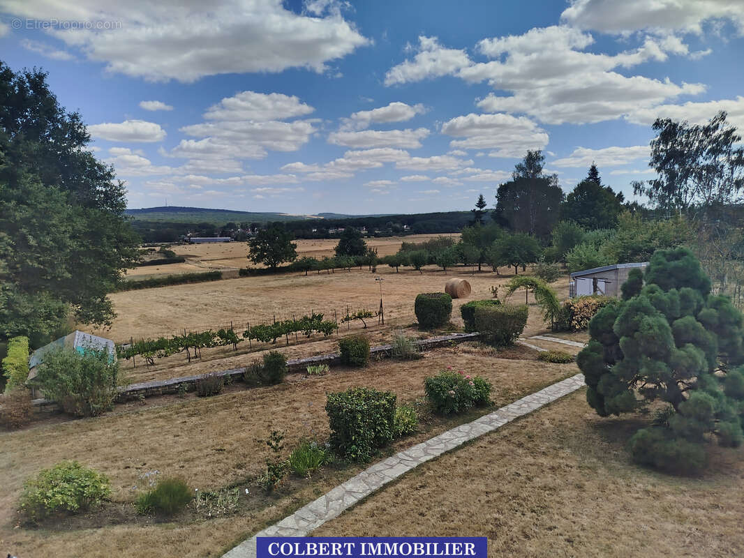 Un véritable coin de nature pour votre famille… avec plus de 8 000 m2 de terrain ! - photo 2