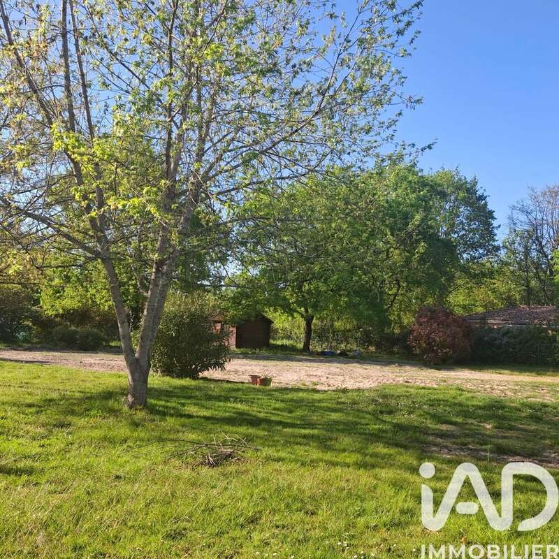 Photo 2 - Terrain à MONTAUBAN