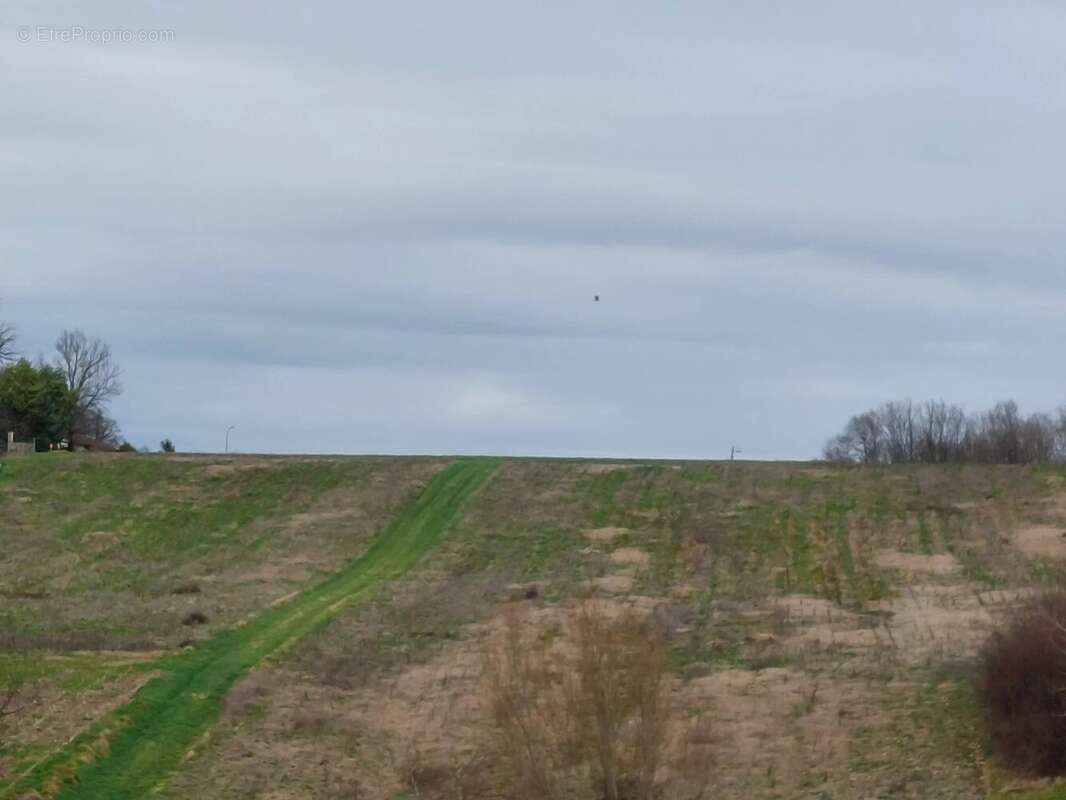 Terrain à SAINTE-COLOMBE