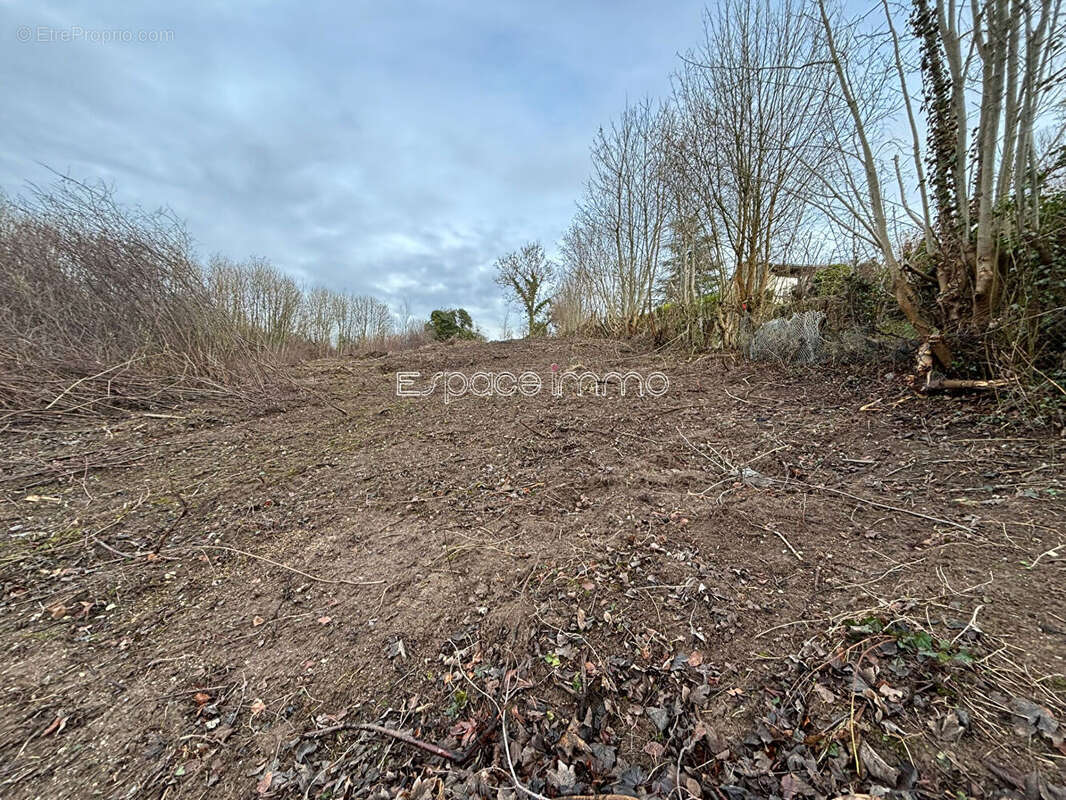 Terrain à CLERES