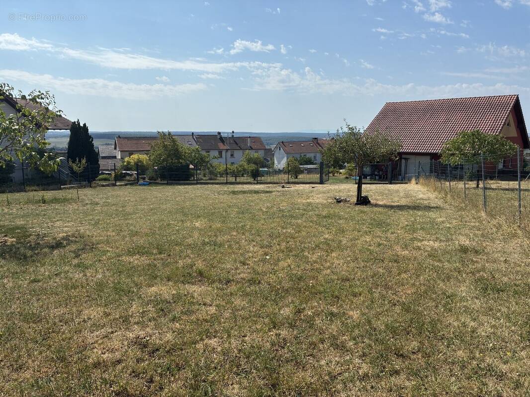 Terrain à ROHRBACH-LES-BITCHE