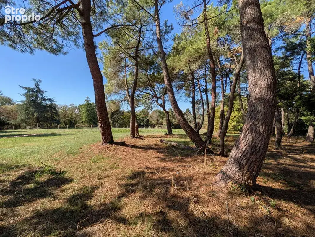 Maison 4 chambres, 160m², bourg de la Chapelle Basse Mer, Divatte sur Loire (44450) - photo 3