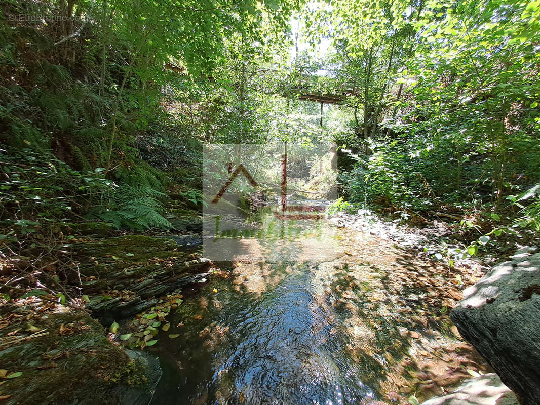 Propriété de caractère en Cévennes - photo 9