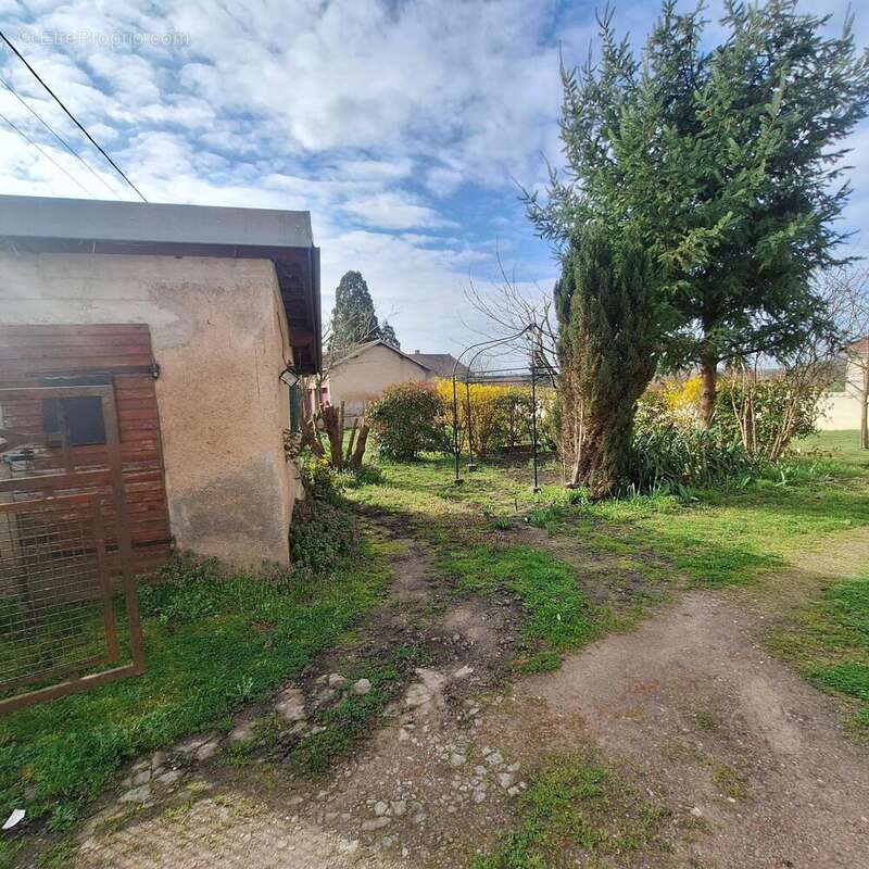 Photo 4 - Appartement à MONTCHANIN