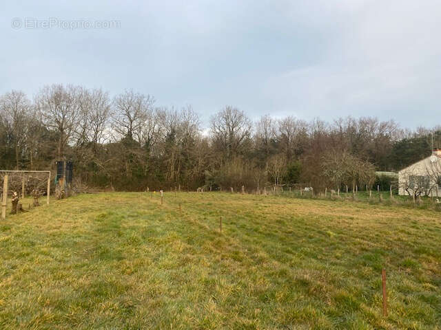 Terrain à TALMONT-SAINT-HILAIRE