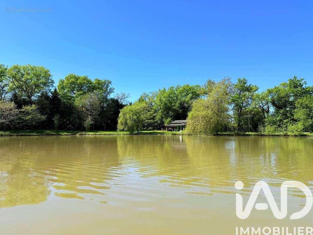 Terrain 20970 m² à Availles-Limouzine  - photo 6