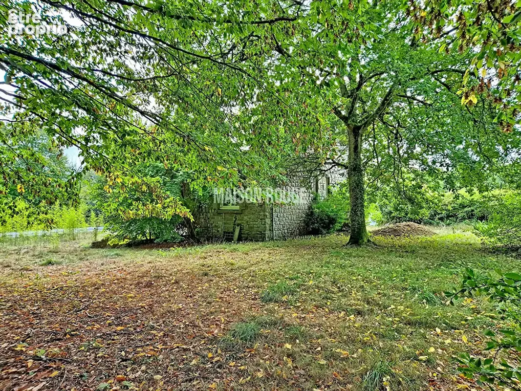 Maison en pierre 3 chambres avec jardin de 2990 m² - photo 18