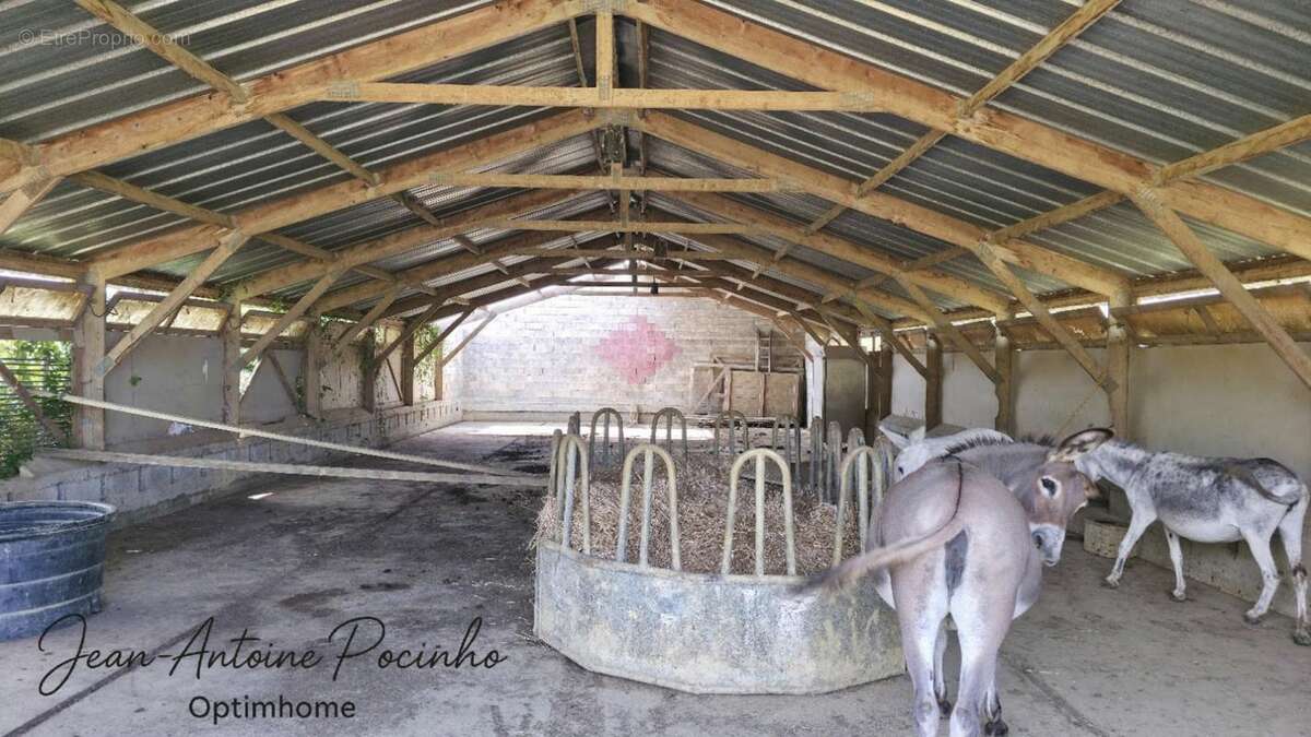 Maison de campagne à vendre 9 pièces  (31) - photo 44