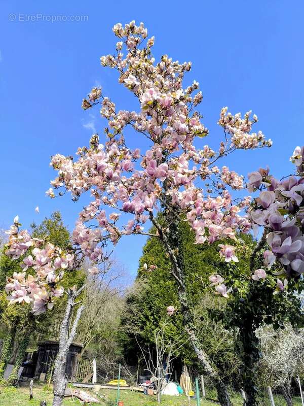 Maison à SAINT-ELOY-LES-MINES