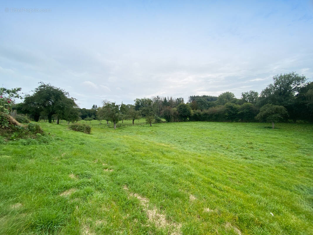 Terrain à BOUSIGNIES-SUR-ROC