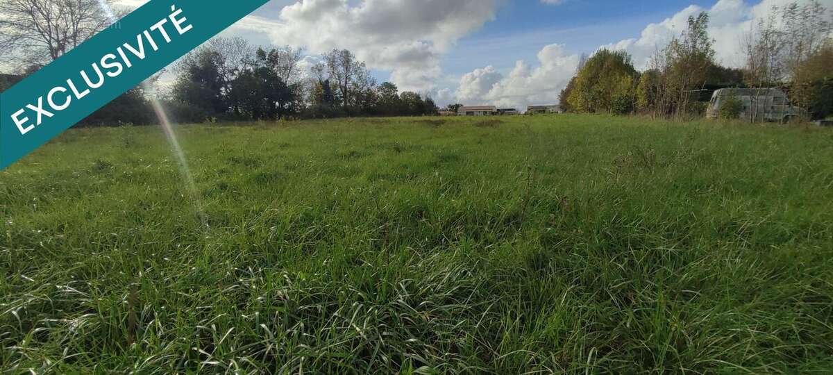 Photo 7 - Terrain à GENOUILLE