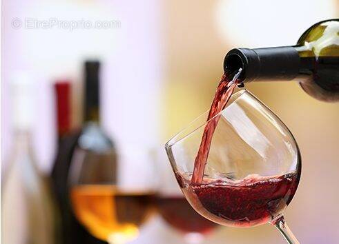 Autre à TASSIN-LA-DEMI-LUNE