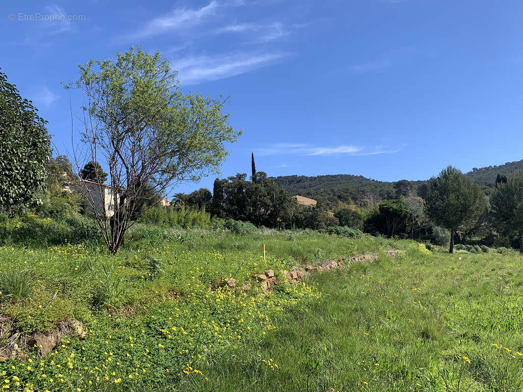Terrain à LE PRADET
