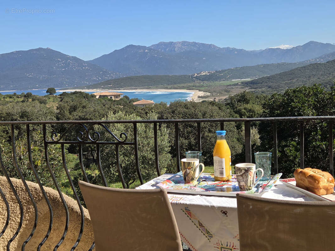 Maison à BELVEDERE-CAMPOMORO