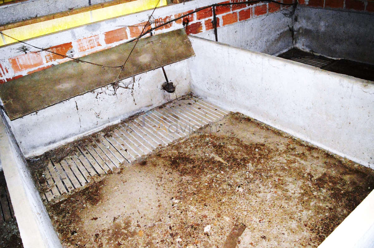 Commerce à CHAMPGENETEUX