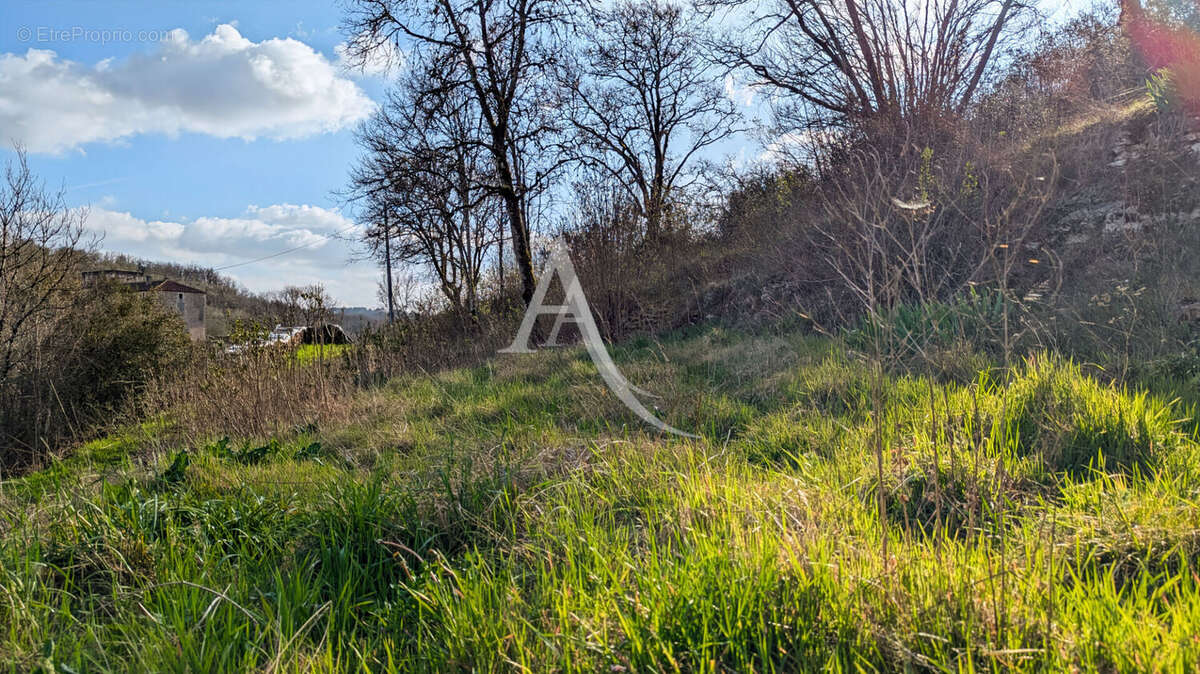 Maison à BLANQUEFORT-SUR-BRIOLANCE