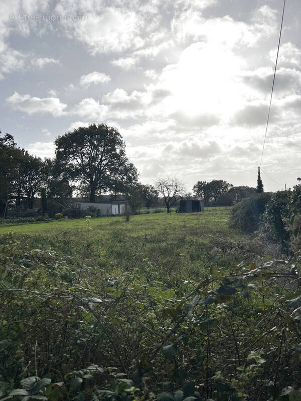 Terrain à LA DOMINELAIS