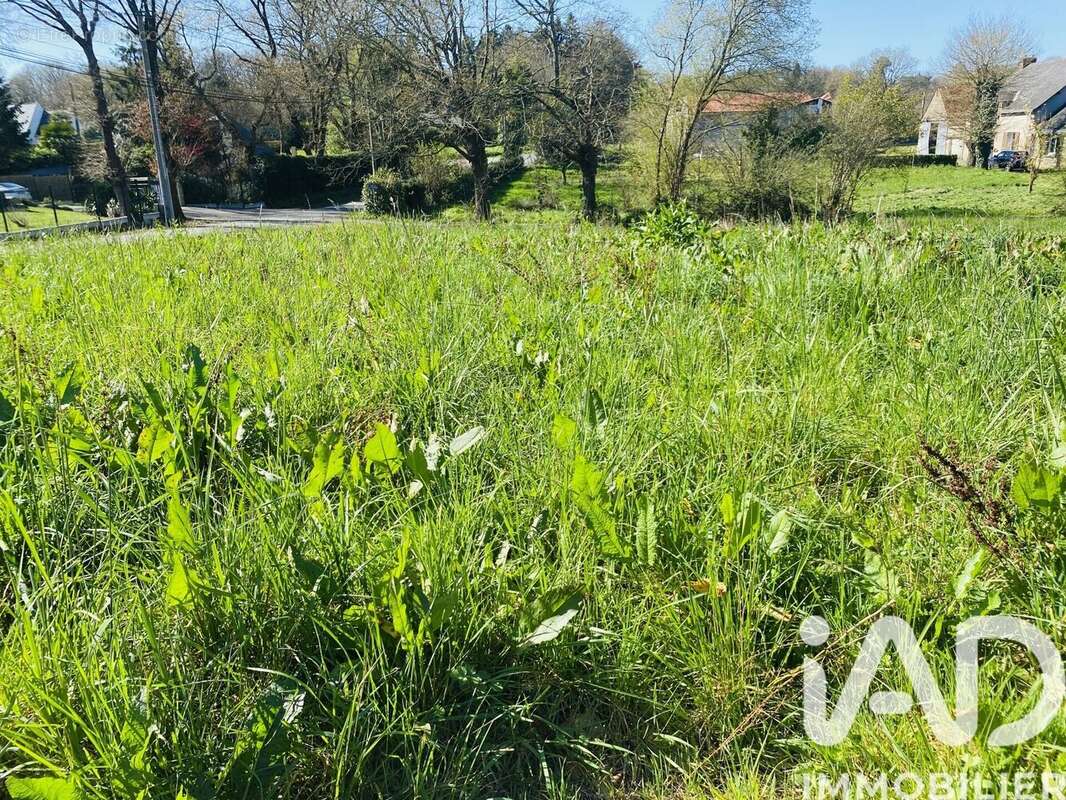 Photo 2 - Terrain à TREILLIERES
