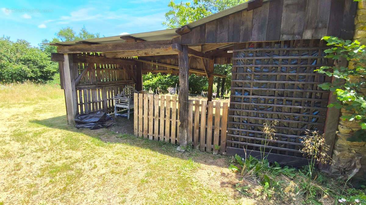 Maison d'artiste avec jardin botanique, source - Terrain 1,6 hectare - photo 22