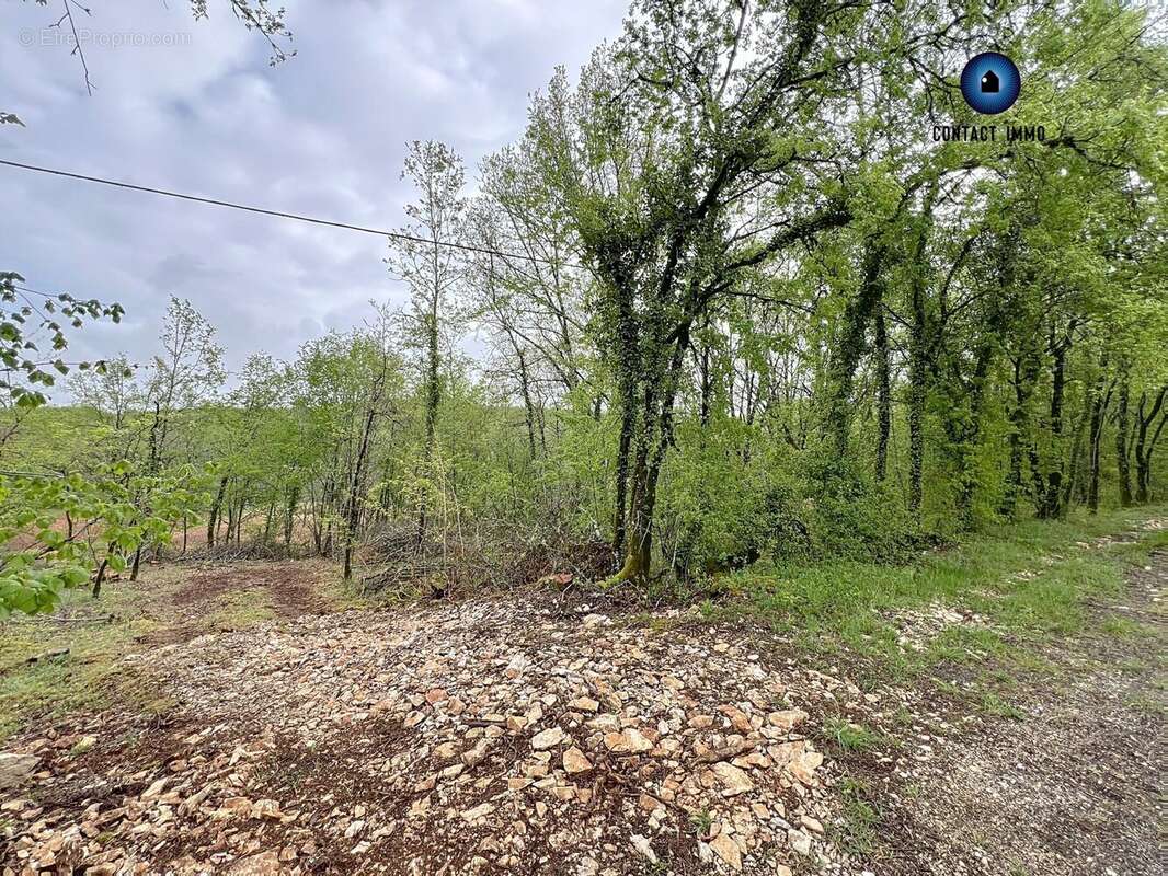 Terrain à LA DORNAC