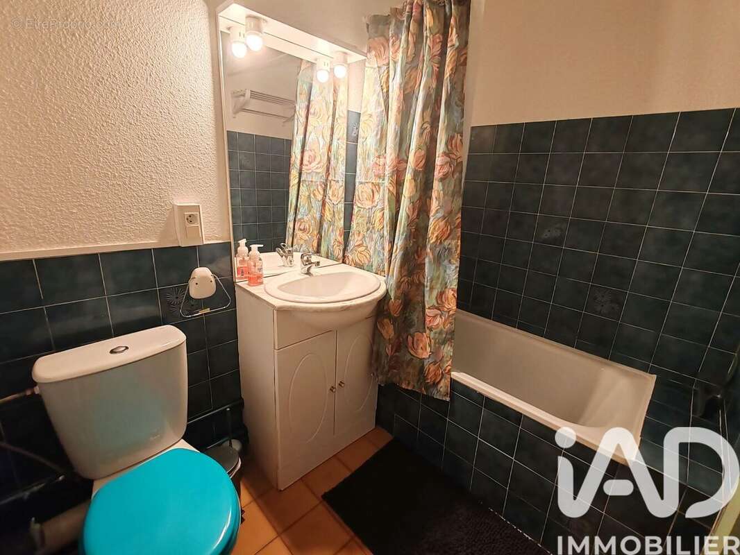 Photo 9 - Appartement à SAINT-CYPRIEN