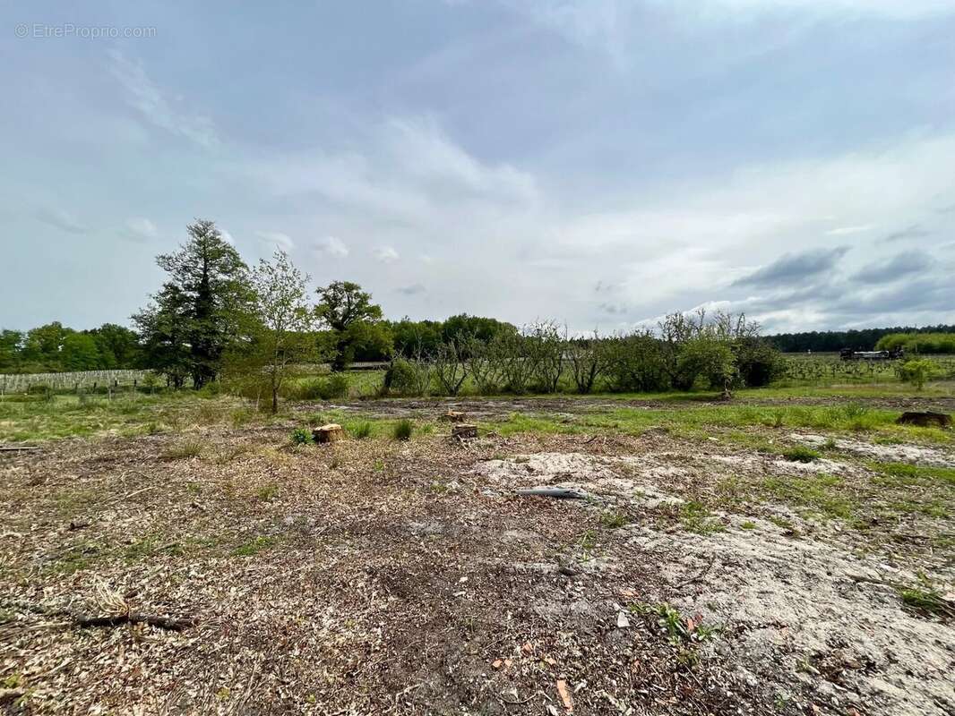 Terrain à LA BREDE