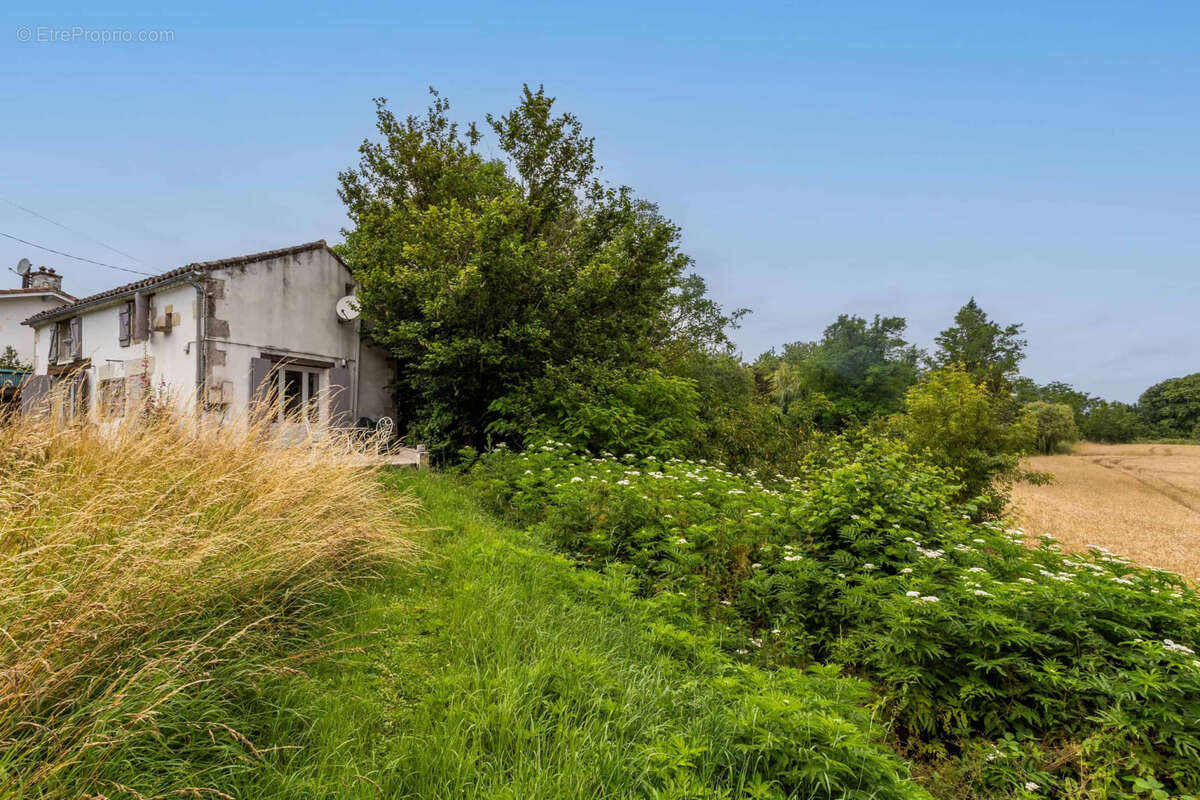 Village house with garden - photo 5