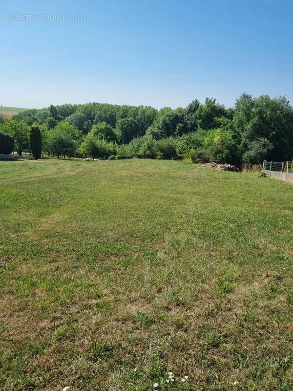 Terrain à LA FERTE-GAUCHER