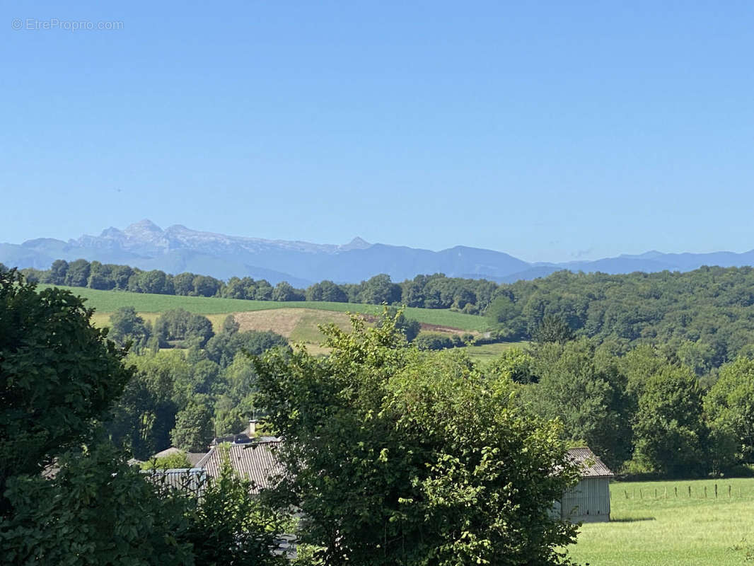 IMG_8758 - Maison à OLORON-SAINTE-MARIE